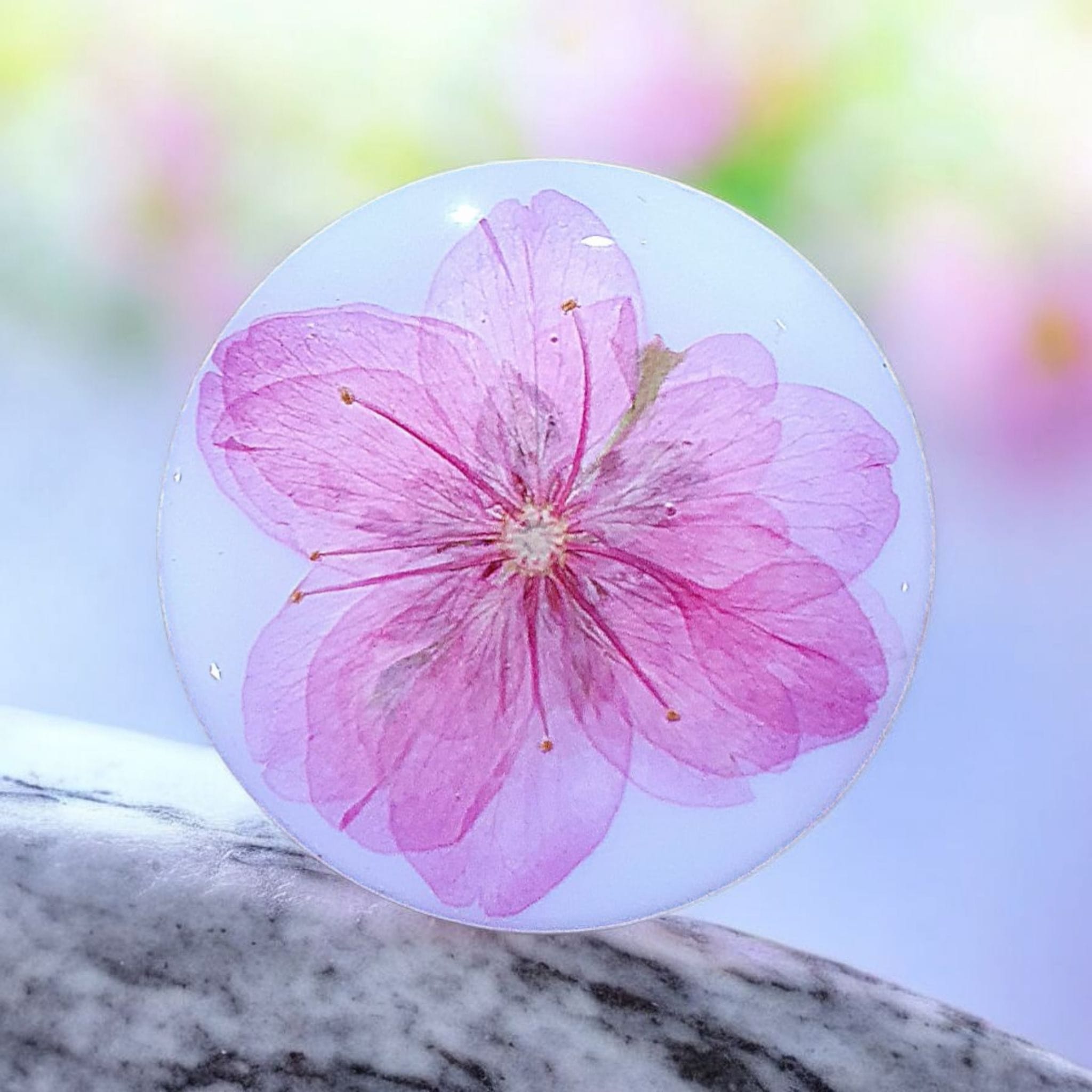 Cherry Blossom Phone Grip – Real Dried Flower Design, MagSafe & Adhesive Options, Gift Included