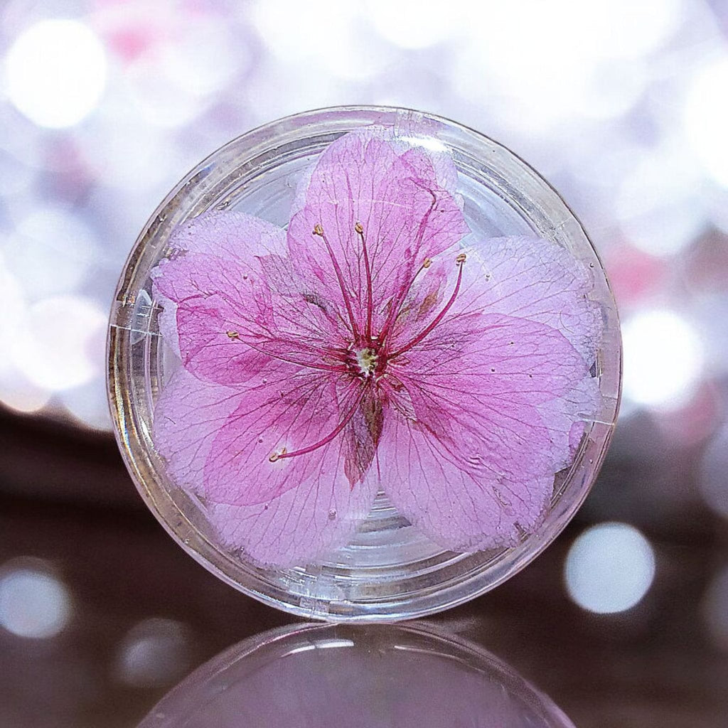 Cherry Blossom Phone Grip – Real Dried Flower Design, MagSafe & Adhesive Options, Gift Included